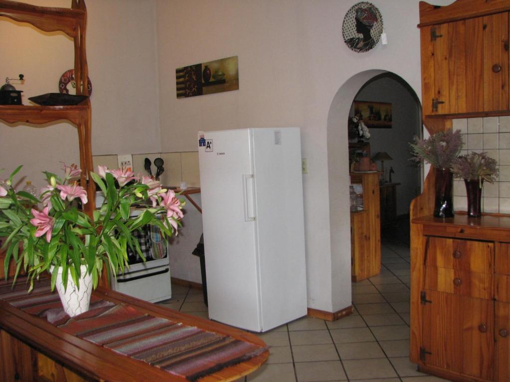 Jembjo'S Knysna Lodge & Backpackers Exterior photo